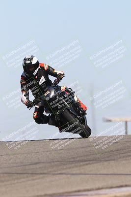 media/Oct-06-2025-2WTD (Mon) [[90522c3a0b]]/B Group/1120am (Grapevine)/